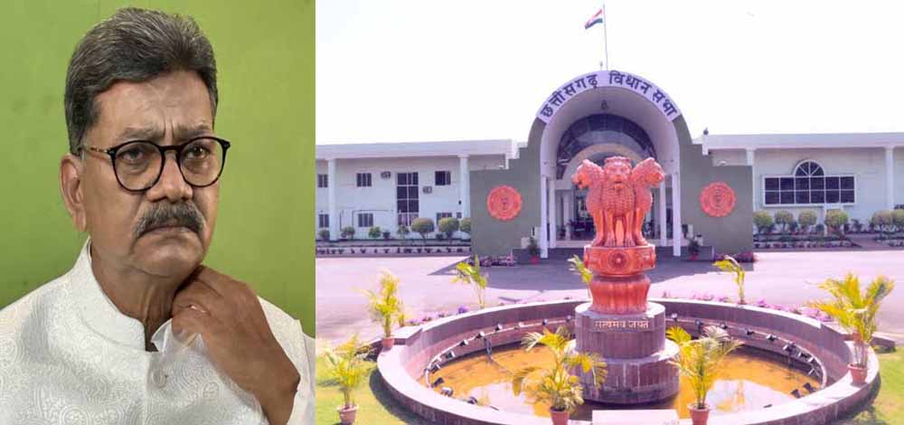 शून्यकाल में उठा दुर्ग में अफीम खेती का मुद्दा, विपक्ष ने कहा – ‘धान का कटोरा’ बन रहा ‘अफीम का कटोरा’