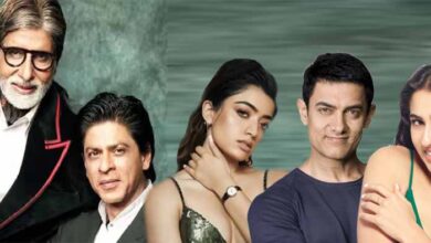 अमिताभ बच्चन ने क्यों नहीं देखा फाइनल? शाहरुख, रश्मिका समेत सेलेब्स ने ऐसे मनाई जीत