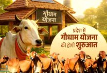 मुख्यमंत्री विष्णु देव साय 14 मार्च को बिलासपुर से करेंगे “गौधाम योजना” का शुभारंभ