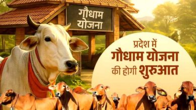 मुख्यमंत्री विष्णु देव साय 14 मार्च को बिलासपुर से करेंगे “गौधाम योजना” का शुभारंभ