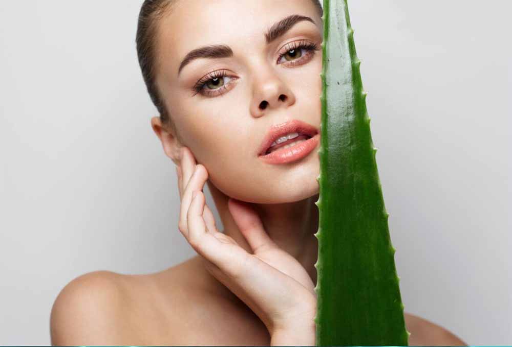 गर्मियों में सनबर्न और टैनिंग से बचाएगा एलोवेरा जेल, जानें लगाने का सही तरीका गर्मियों में सनबर्न और टैनिंग से बचाएगा एलोवेरा जेल, जानें लगाने का सही तरीका