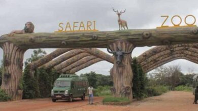 होली पर जंगल सफारी का प्लान बना रहे हैं? 3 मार्च से कुछ दिनों तक पर्यटकों की एंट्री रहेगी बंद