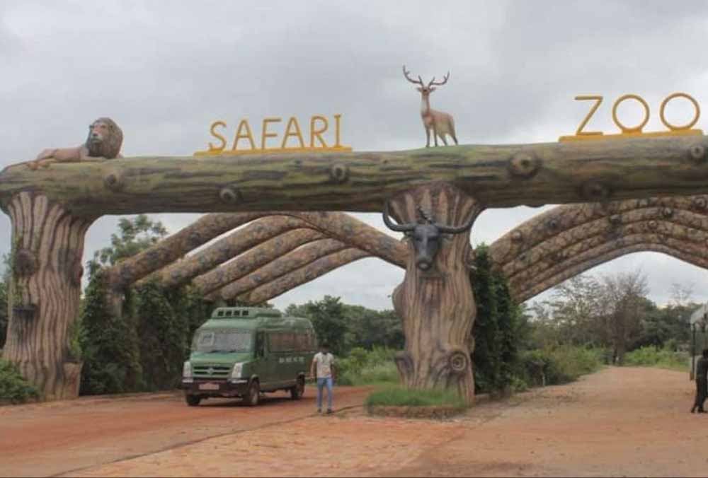 होली पर जंगल सफारी का प्लान बना रहे हैं? 3 मार्च से कुछ दिनों तक पर्यटकों की एंट्री रहेगी बंद