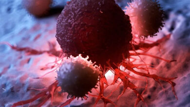 2040 तक कैंसर बनेगा और बड़ा खतरा, हर दो मिनट में एक नई ज़िंदगी पर वार!