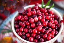 महिलाओं की सेहत का सुपरफूड है क्रैनबेरी, फायदे जानकर चौंक जाएंगे आप