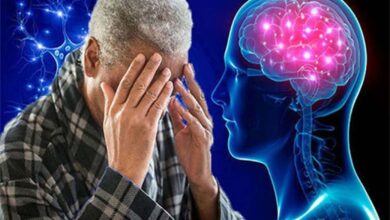 अल्जाइमर की समय से पहले पहचान संभव, नया ब्लड टेस्ट देगा वर्षों पहले संकेत अल्जाइमर की समय से पहले पहचान संभव, नया ब्लड टेस्ट देगा वर्षों पहले संकेत
