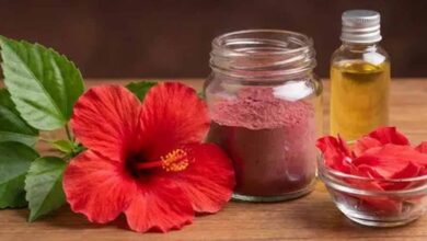 खूबसूरत त्वचा और घने बालों का प्राकृतिक मंत्र: गुड़हल के चमत्कारी फायदे