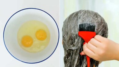 अंडे से पाएं लंबे और घने बाल, जानें सही तरीका