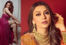 Hansika Motwani का तलाक, 4 साल में टूटी शादी; सहेली के एक्स से की थी शादी