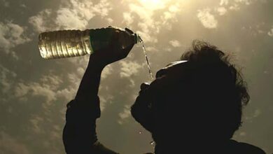 एमपी में सबसे ज्यादा गर्म ग्वालियर-चंबल, तापमान 6°C तक बढ़ा; भोपाल, इंदौर-उज्जैन में भी गर्मी बढ़ी एमपी में सबसे ज्यादा गर्म ग्वालियर-चंबल, तापमान 6°C तक बढ़ा; भोपाल, इंदौर-उज्जैन में भी गर्मी बढ़ी