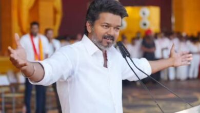 डिप्टी CM का पद और 80 सीटें, थलापति विजय को बीजेपी ने दिया बड़ा ऑफर