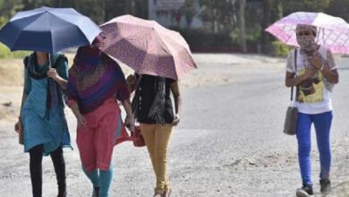 MP में 2 दिन की तेज गर्मी, 18-19 मार्च को बारिश, धूप से बचने घरों पर ग्रीन नेट,सड़कों पर छाई वीरानी