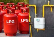 LPG बुकिंग में पैनिक न करें, 7 दिन में मिलेगा PNG कनेक्शन: सरकार का बयान