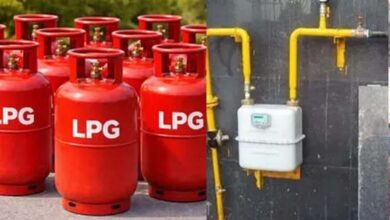 LPG बुकिंग में पैनिक न करें, 7 दिन में मिलेगा PNG कनेक्शन: सरकार का बयान LPG बुकिंग में पैनिक न करें, 7 दिन में मिलेगा PNG कनेक्शन: सरकार का बयान