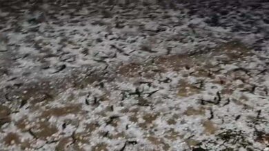 राजस्थान और MP में बारिश और ओले , हरियाणा में बारिश से सड़कों पर पानी,UK के गंगोत्री धाम में बर्फबारी