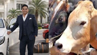 भोपाल गोमांस तस्करी केस में बड़ा अपडेट, असलम चमड़ा को मिली जमानत