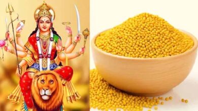 नवरात्रि खत्म होने से पहले करें पीली सरसों के ये 5 अचूक उपाय, धन की कमी होगी दूर!