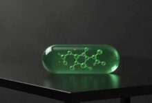 अब 150 साल तक जिएगा इंसान? बुढ़ापा रोकने वाली गोली पर वैज्ञानिकों का बड़ा दावा!