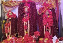 मां बिरासिनी धाम बिलासपुर में मातारानी के दर्शन के लिए दर्शनार्थियों की लगी भीड़