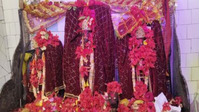 मां बिरासिनी धाम बिलासपुर में मातारानी के दर्शन के लिए दर्शनार्थियों की लगी भीड़