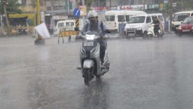 भोपाल, जबलपुर समेत आधे MP में बारिश, कई जिलों में ओले गिरने से फसलों को नुकसान; 34 जिलों में अलर्ट