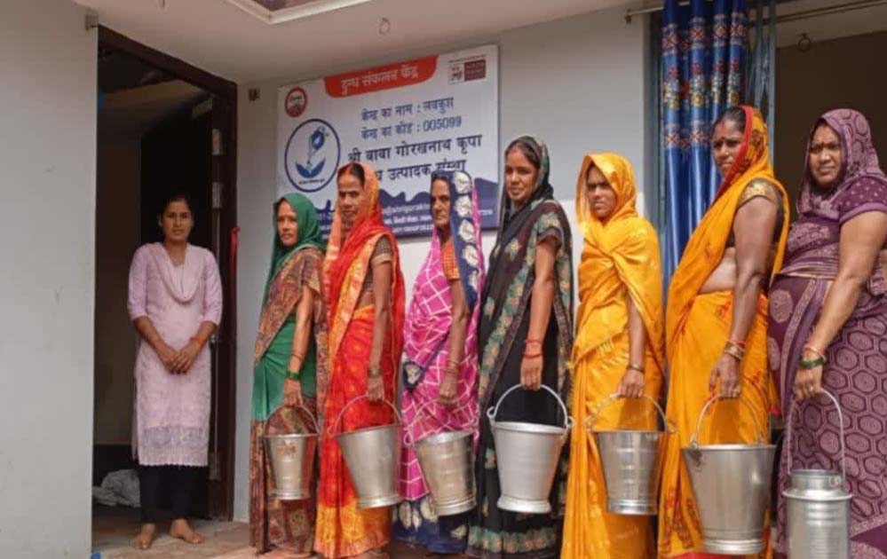 मिल्क प्रोक्योरमेंट से आत्मनिर्भर बनीं प्रदेश की साढ़े तीन लाख महिलाएं मिल्क प्रोक्योरमेंट से आत्मनिर्भर बनीं प्रदेश की साढ़े तीन लाख महिलाएं