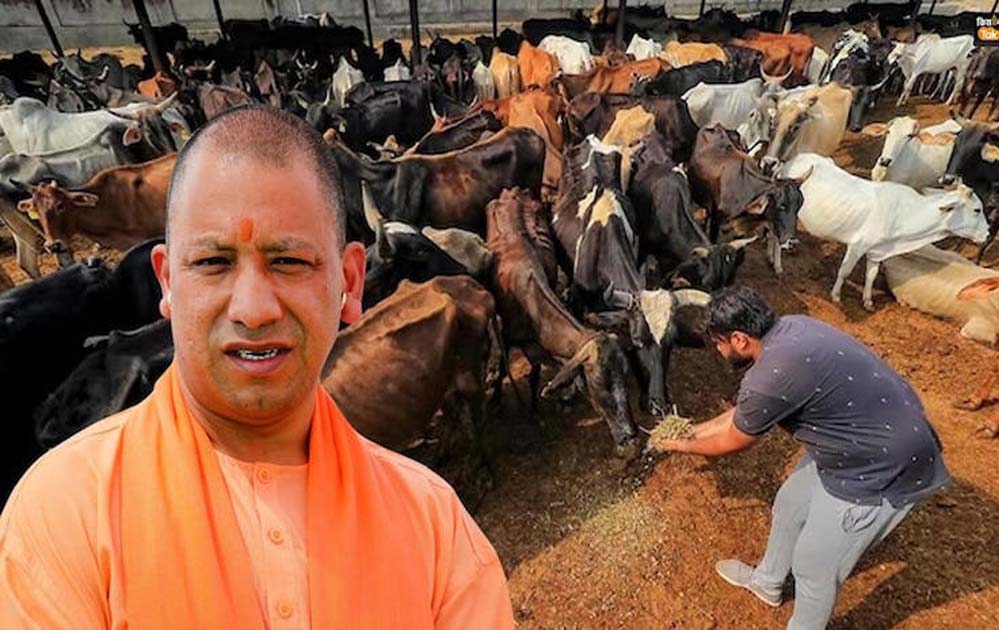 योगी सरकार की ‘नन्दिनी कृषक समृद्धि योजना’ से डेयरी सेक्टर में आ रही नई क्रांति योगी सरकार की ‘नन्दिनी कृषक समृद्धि योजना’ से डेयरी सेक्टर में आ रही नई क्रांति