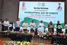 रायपुर : जीवन प्रकृति पर आधारित,राज्य में वनों के संरक्षण एवं संवर्धन के लिए निरंतर प्रयास-मंत्री केदार कश्यप