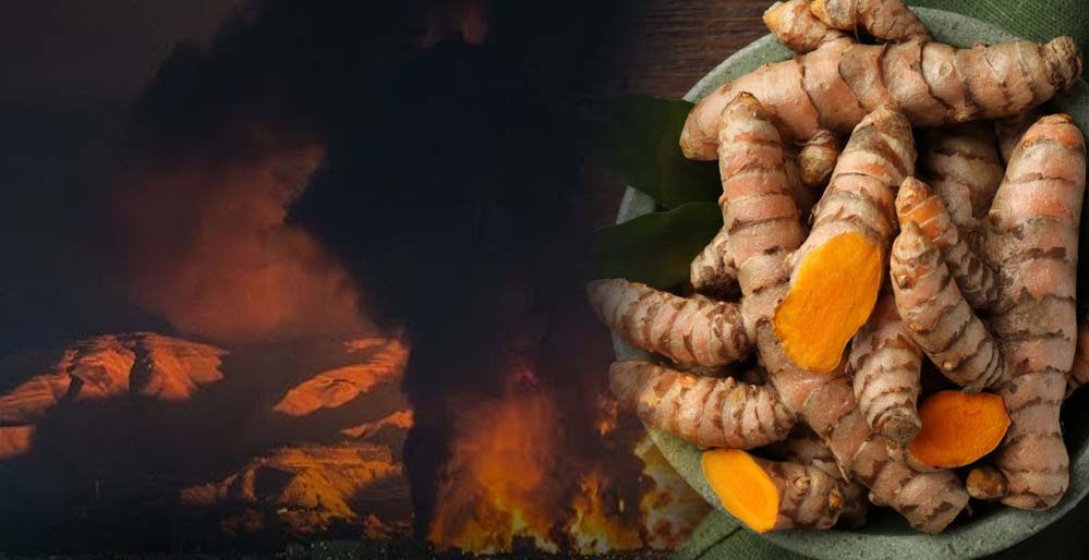 ईरान जंग का असर: हल्दी के दाम ₹3,500 प्रति क्विंटल घटे, किसानों में चिंता ईरान जंग का असर: हल्दी के दाम ₹3,500 प्रति क्विंटल घटे, किसानों में चिंता