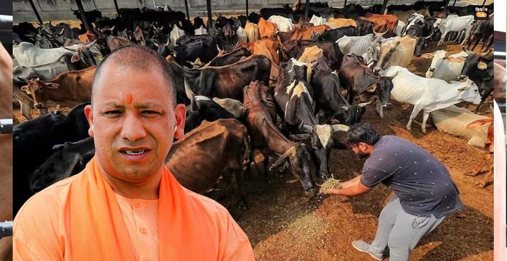 जर्मन टेक्नोलॉजी से लैस होंगी प्रदेश की गोशालाएं जर्मन टेक्नोलॉजी से लैस होंगी प्रदेश की गोशालाएं
