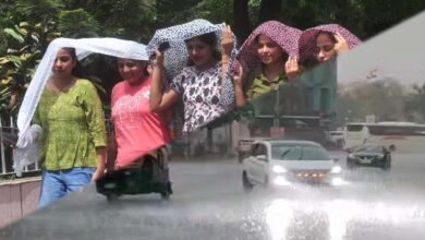 MP में मौसम का ड्रामा: पूर्वी हिस्से में बादल, कहीं तेज धूप, दो दिन आंधी-बारिश का अलर्ट