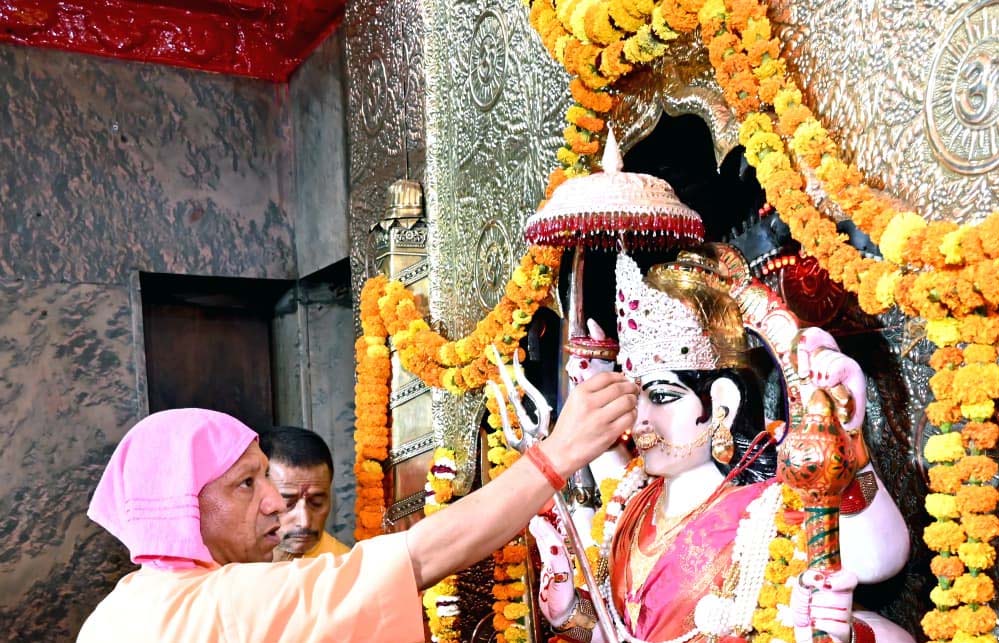 स्वदेशी गो-संवर्धन योजना में तेज प्रगति पर फोकस, सभी जिलों में बढ़ी रफ्तार स्वदेशी गो-संवर्धन योजना में तेज प्रगति पर फोकस, सभी जिलों में बढ़ी रफ्तार