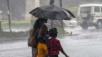 MP में 29 मार्च से 3 दिन की बारिश का अलर्ट, भोपाल-उज्जैन सहित 40 जिलों में आंधी भी हो सकती है MP में 29 मार्च से 3 दिन की बारिश का अलर्ट, भोपाल-उज्जैन सहित 40 जिलों में आंधी भी हो सकती है