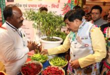 मुख्यमंत्री डॉ. यादव और कैबिनेट मंत्रियों ने निमाड़-मालवा के लोक देवता भीलट देव से सभी की समृद्धि के लिए की कामना