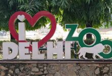 दिल्ली का चिड़ियाघर हुआ हाईटेक, QR कोड स्कैन करते ही मिलेगी जानवरों की पूरी जानकारी