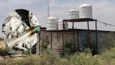 रतलाम में पोल्ट्री फार्म पर एमडी ड्रग फैक्ट्री का भंडाफोड़, 100 किलो केमिकल जब्त, 3 से ज्यादा आरोपी गिरफ्तार रतलाम में पोल्ट्री फार्म पर एमडी ड्रग फैक्ट्री का भंडाफोड़, 100 किलो केमिकल जब्त, 3 से ज्यादा आरोपी गिरफ्तार