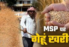 मालवांचल, नर्मदापुरम और भोपाल संभाग में 10 अप्रैल से गेहूं उपार्जन, बाकी संभागों में 15 मार्च से शुरू होगी खरीदी