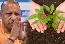 सर्वोत्तम के साथ यूपी को ‘हरित प्रदेश’ बनाने में जुटी योगी सरकार