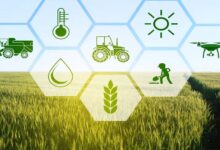 156 एग्री स्टार्टअप्स से प्रदेश के किसानों को मिल रही मदद, खेती में बढ़ रहा लाभ