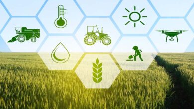 156 एग्री स्टार्टअप्स से प्रदेश के किसानों को मिल रही मदद, खेती में बढ़ रहा लाभ