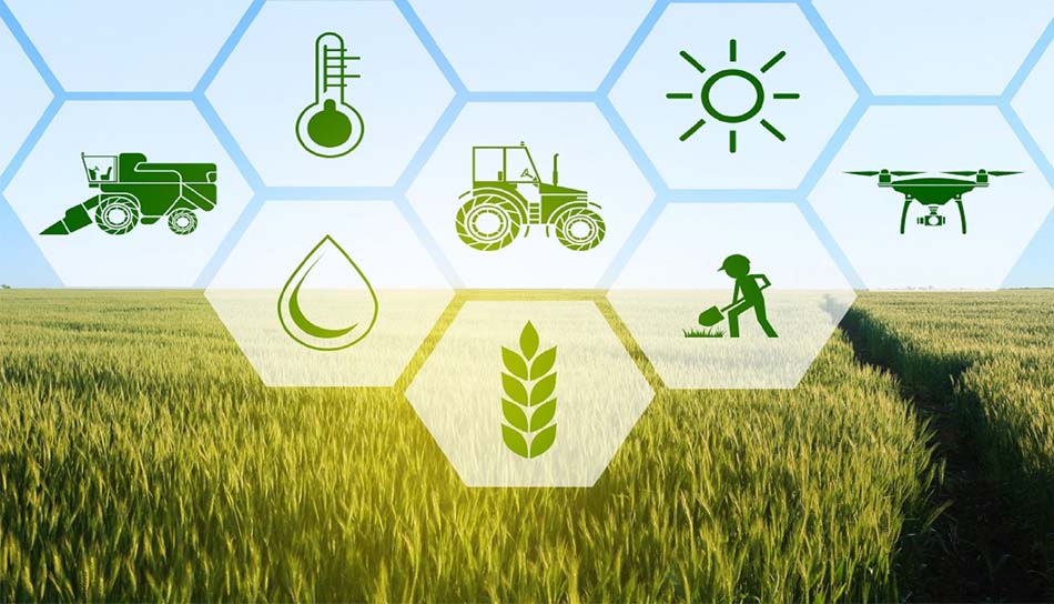 156 एग्री स्टार्टअप्स से प्रदेश के किसानों को मिल रही मदद, खेती में बढ़ रहा लाभ 156 एग्री स्टार्टअप्स से प्रदेश के किसानों को मिल रही मदद, खेती में बढ़ रहा लाभ