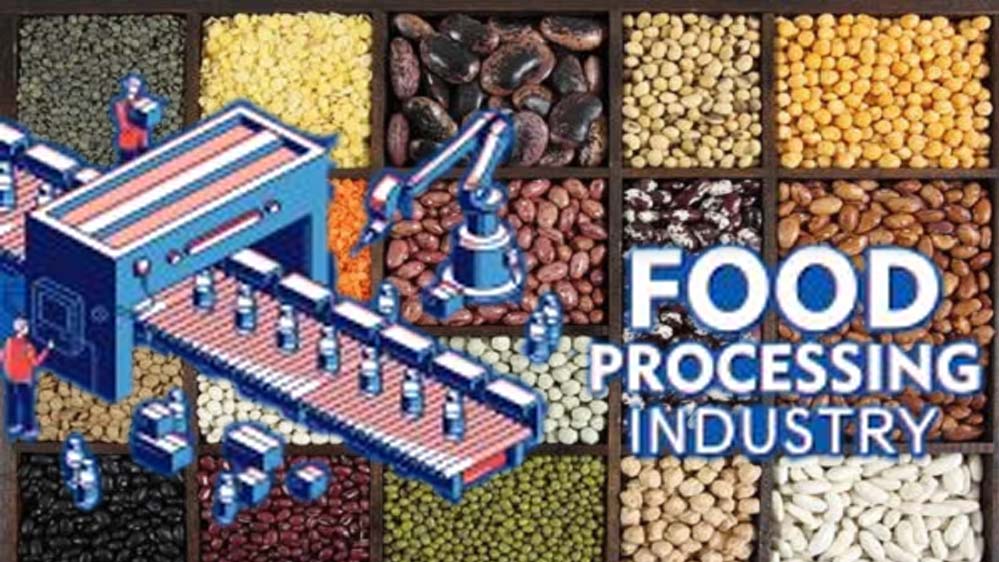 MP में किसान शुरू कर सकते हैं दाल प्रसंस्करण व पैकेजिंग इकाई, 25 लाख के लोन पर मिलेगी 33% सब्सिडी