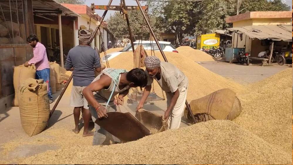 धान खरीद में छत्तीसगढ़ का ‘डेटा-संचालित मॉडल’, एआई तकनीक से बनी मिसाल