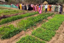 बस्तर के नवाचार देख उत्साहित हुईं बिलासपुर की दीदियाँ