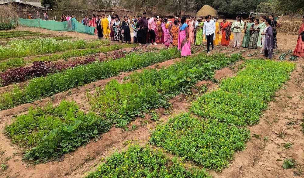 बस्तर के नवाचार देख उत्साहित हुईं बिलासपुर की दीदियाँ बस्तर के नवाचार देख उत्साहित हुईं बिलासपुर की दीदियाँ