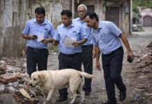 MP में अजीब मामला: छुट्टी लेकर 8 दिन तक कुत्ता खोजते रहे भेल कर्मचारी, अफसरों को पड़ा भारी पंगा MP में अजीब मामला: छुट्टी लेकर 8 दिन तक कुत्ता खोजते रहे भेल कर्मचारी, अफसरों को पड़ा भारी पंगा