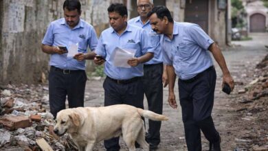 MP में अजीब मामला: छुट्टी लेकर 8 दिन तक कुत्ता खोजते रहे भेल कर्मचारी, अफसरों को पड़ा भारी पंगा MP में अजीब मामला: छुट्टी लेकर 8 दिन तक कुत्ता खोजते रहे भेल कर्मचारी, अफसरों को पड़ा भारी पंगा