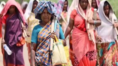 बिहार में श्रमिक ई-KYC में शिवहर नंबर-1: 72,193 मजदूरों का रिकॉर्ड पंजीयन