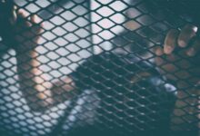 मानव तस्करी पर बिहार पुलिस का बड़ा अभियान: अप्रैल में शुरू होगा ‘ऑपरेशन नया सवेरा 2.0’