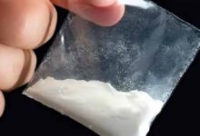 बिहार के हर जिले में खुलेगा नारकोटिक्स थाना, ड्रग्स पर पूरी तरह से लगेगी लगाम